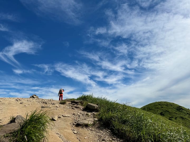 2024 年总结：混乱与突破的一年