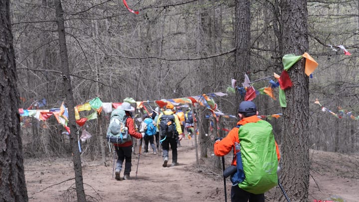 下课又上山：清明重装神农架 × 五一轻装五台山